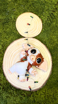 Gizmo arttoy image 0