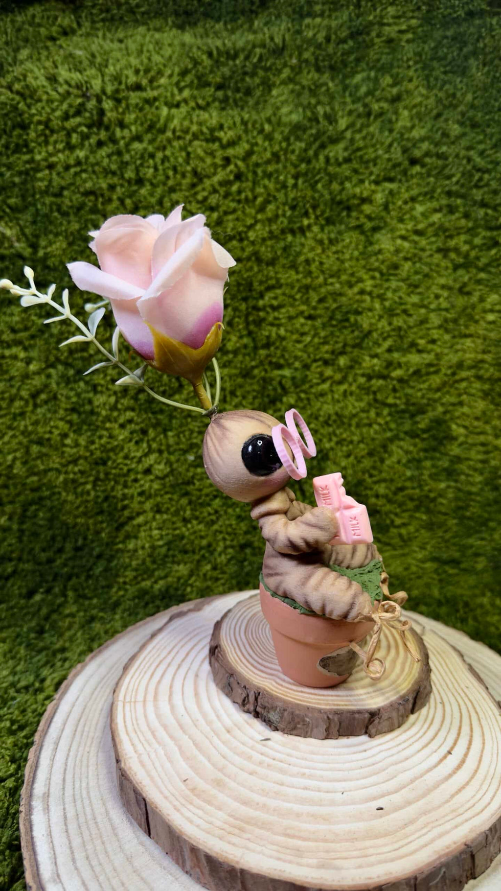 Mandrágora gafas y flor rosas image 1