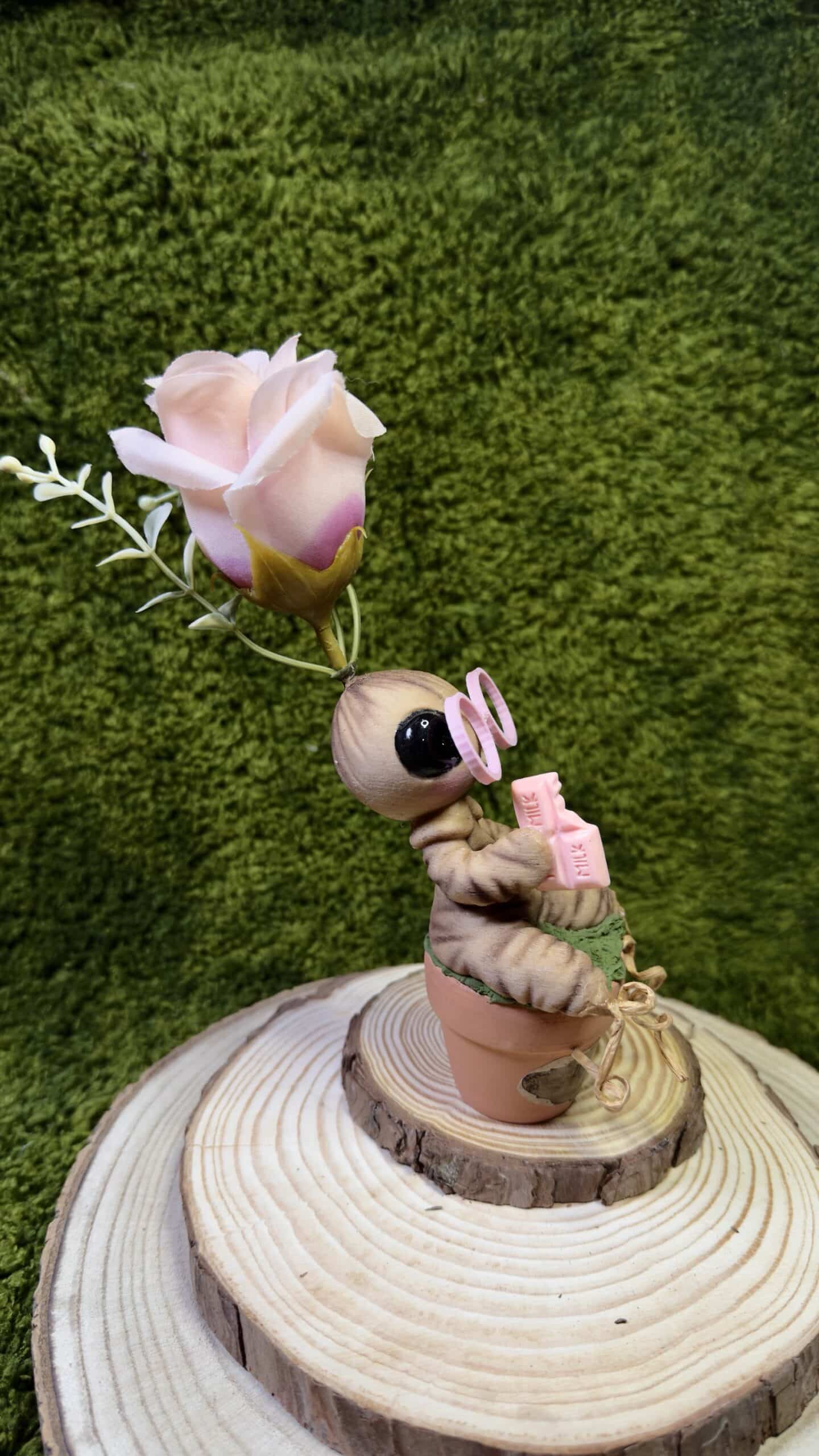 Mandrágora gafas y flor rosas image 1