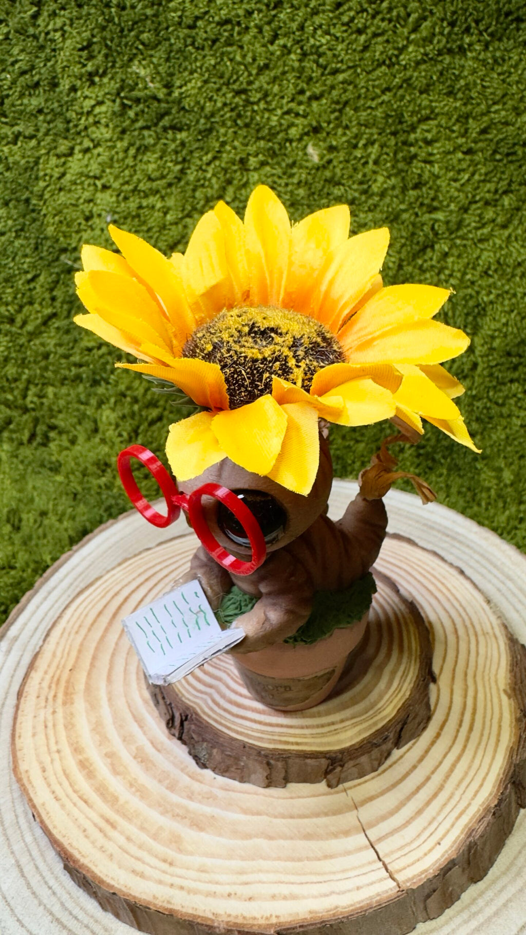 Mandrágora girasol lectora image 1