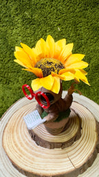 Mandrágora girasol lectora image 1