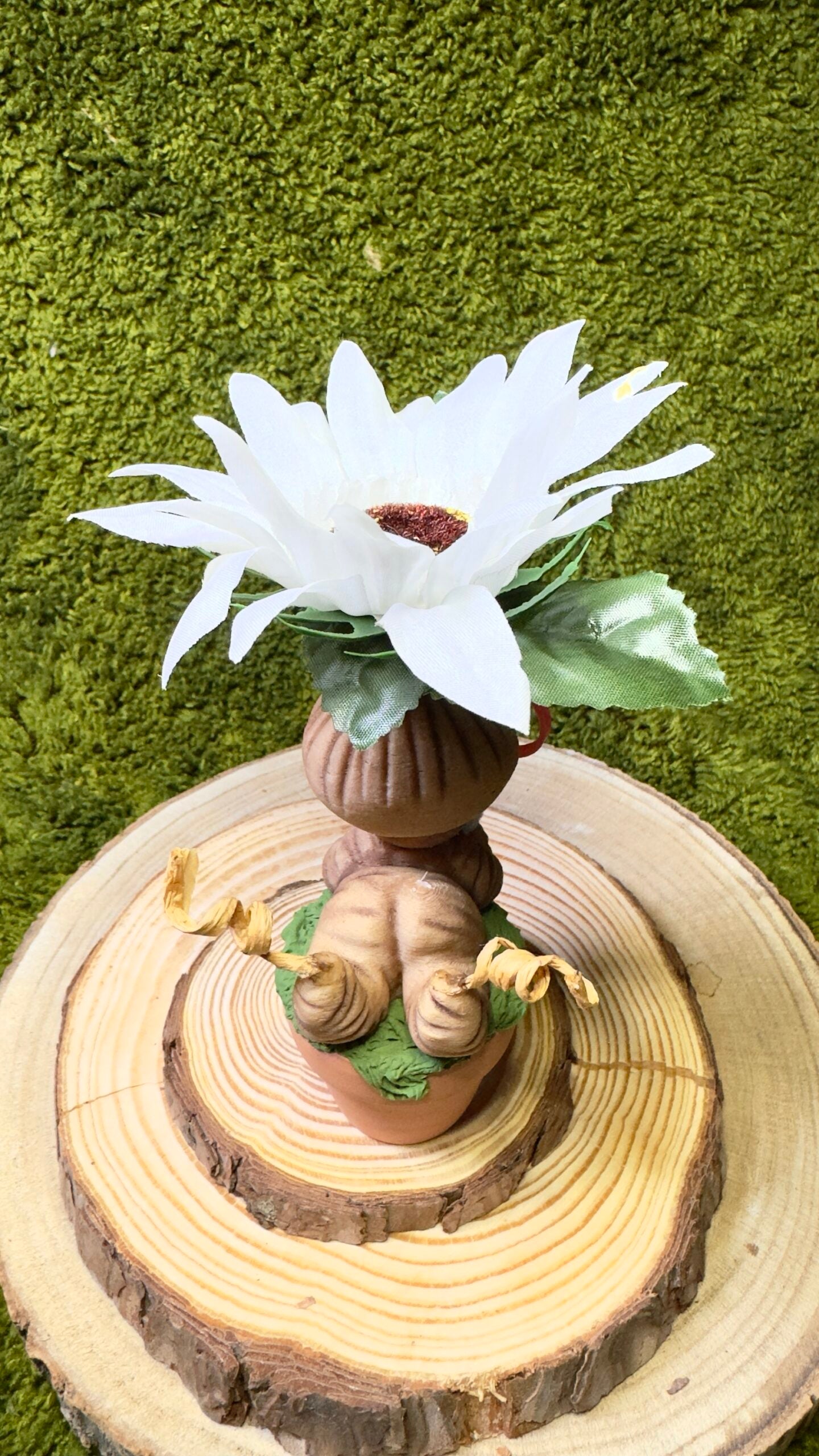 Mandrágora margarita blanca y labubu image 3