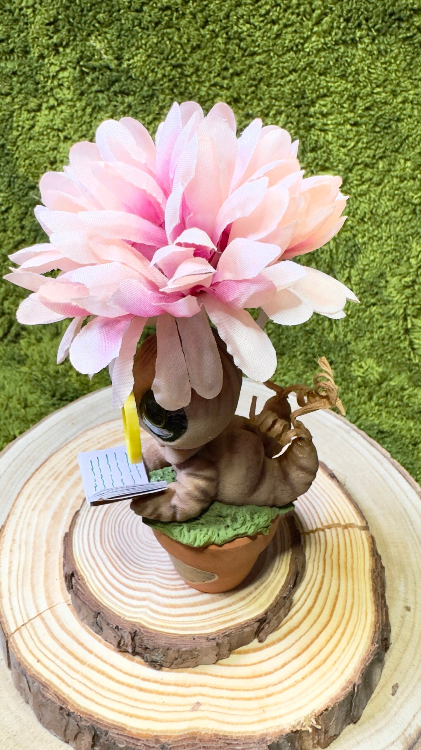 Mandrágora con libro y flor rosa image 1