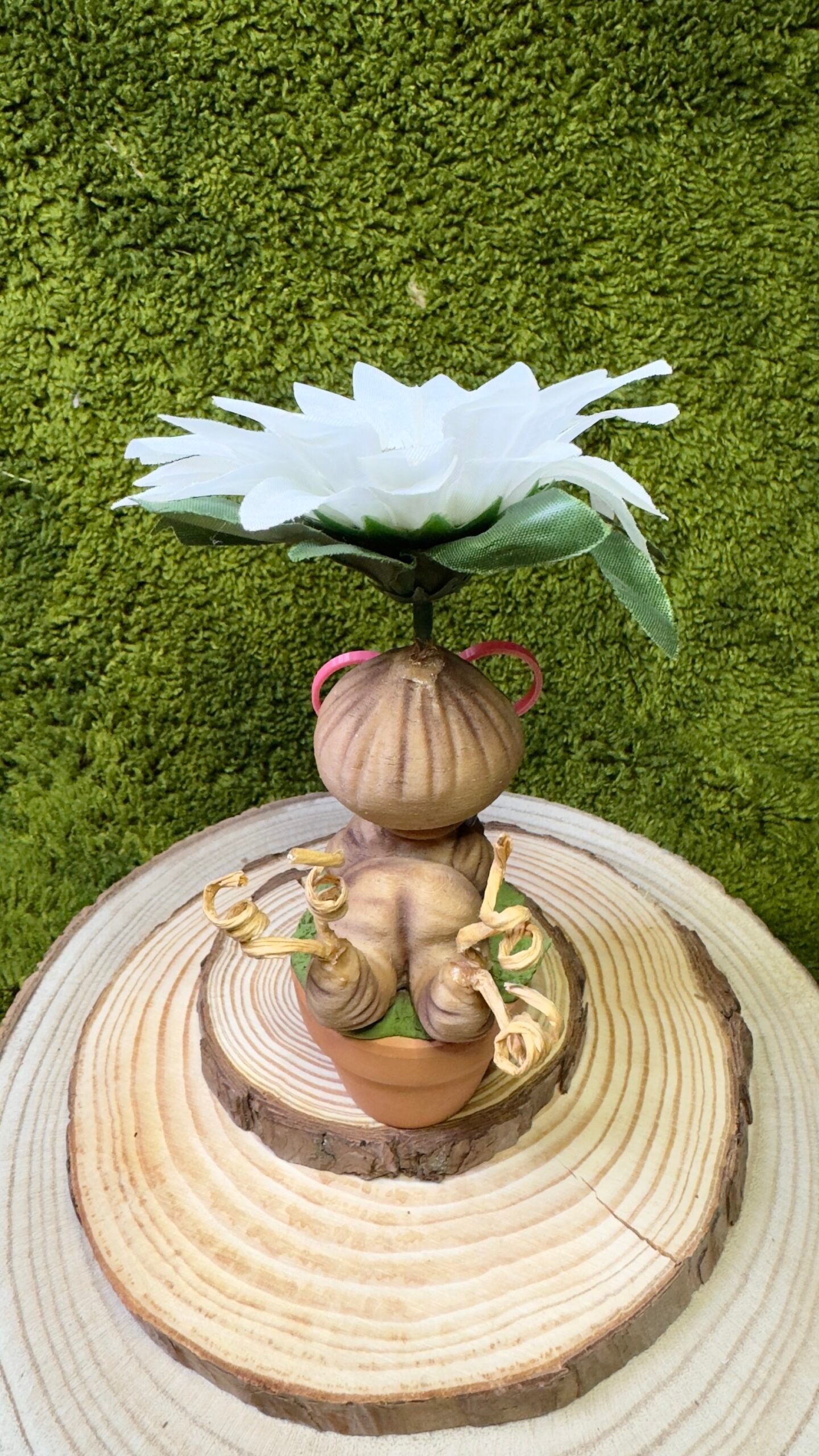 Mandrágora lectora image 3