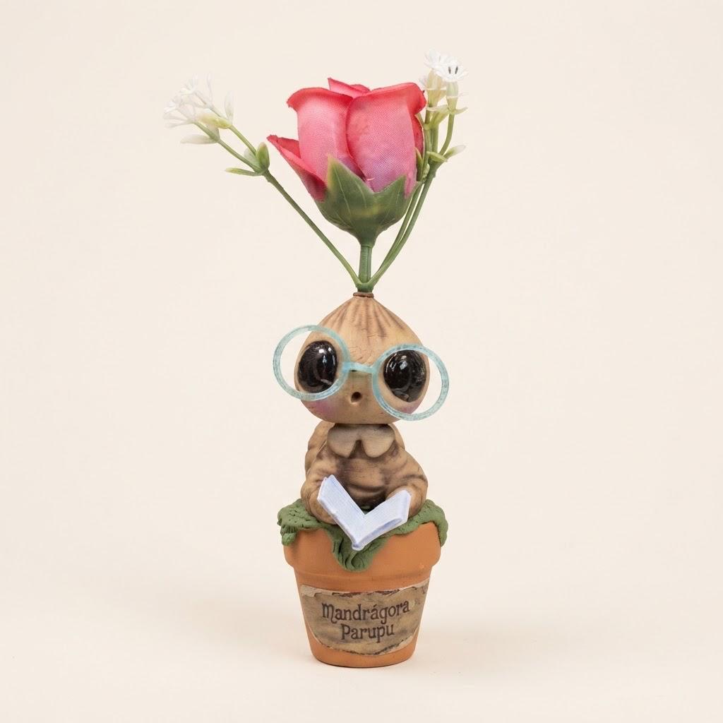 Mandrágora lectora con rosa