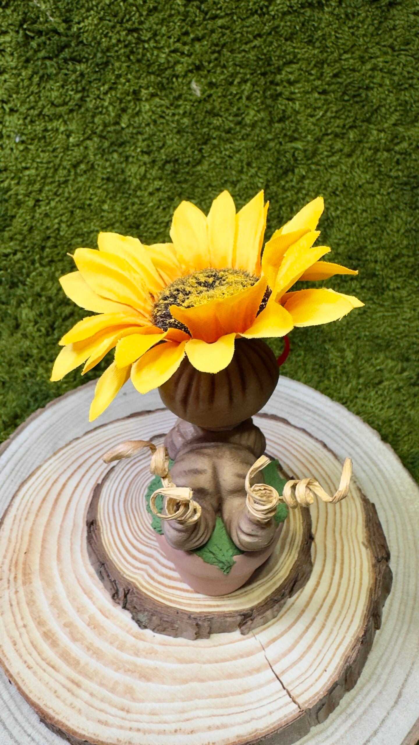 Mandrágora girasol lectora image 3