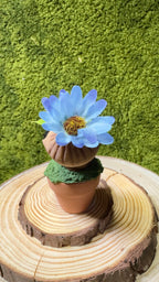 Mandrágora bebé flor azul y mariquita image 3