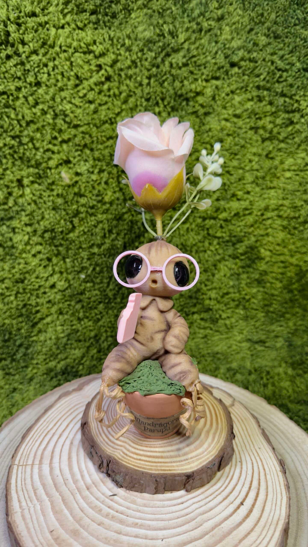 Mandrágora gafas y flor rosas image 0