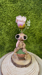 Mandrágora gafas y flor rosas image 0