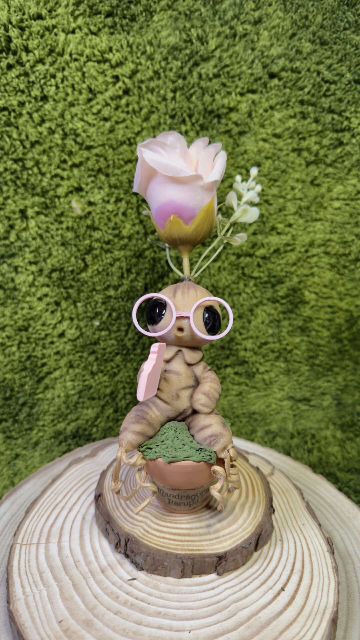 Mandrágora gafas y flor rosas image 0
